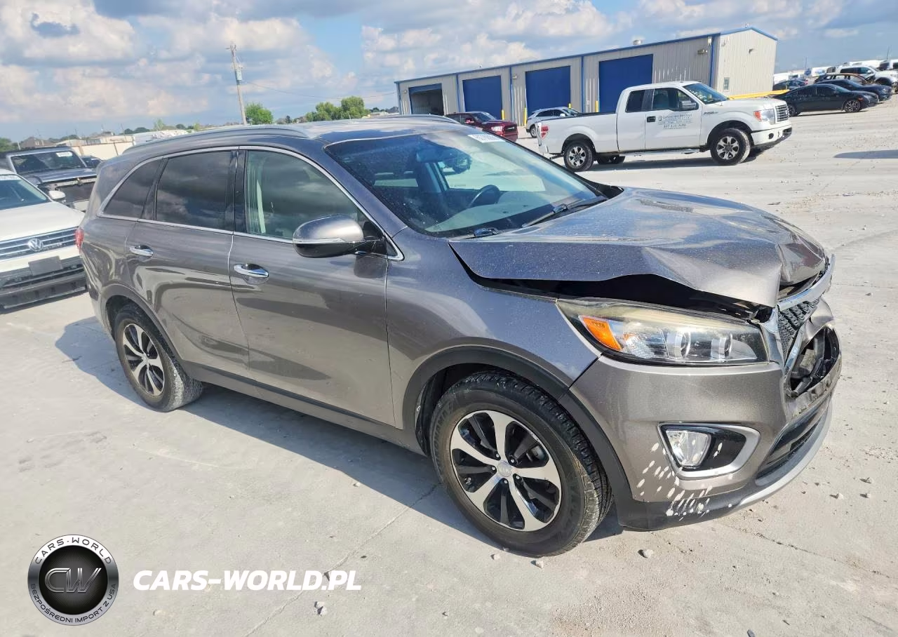 2016 Kia Sorento Ex VIN:5XYPH4A19GG019527 - 4