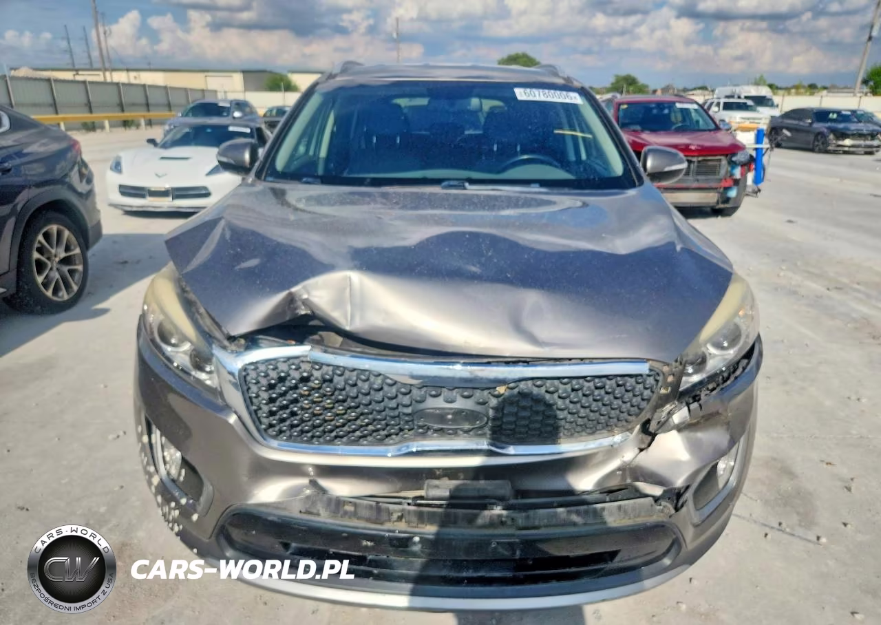 2016 Kia Sorento Ex VIN:5XYPH4A19GG019527 - 5