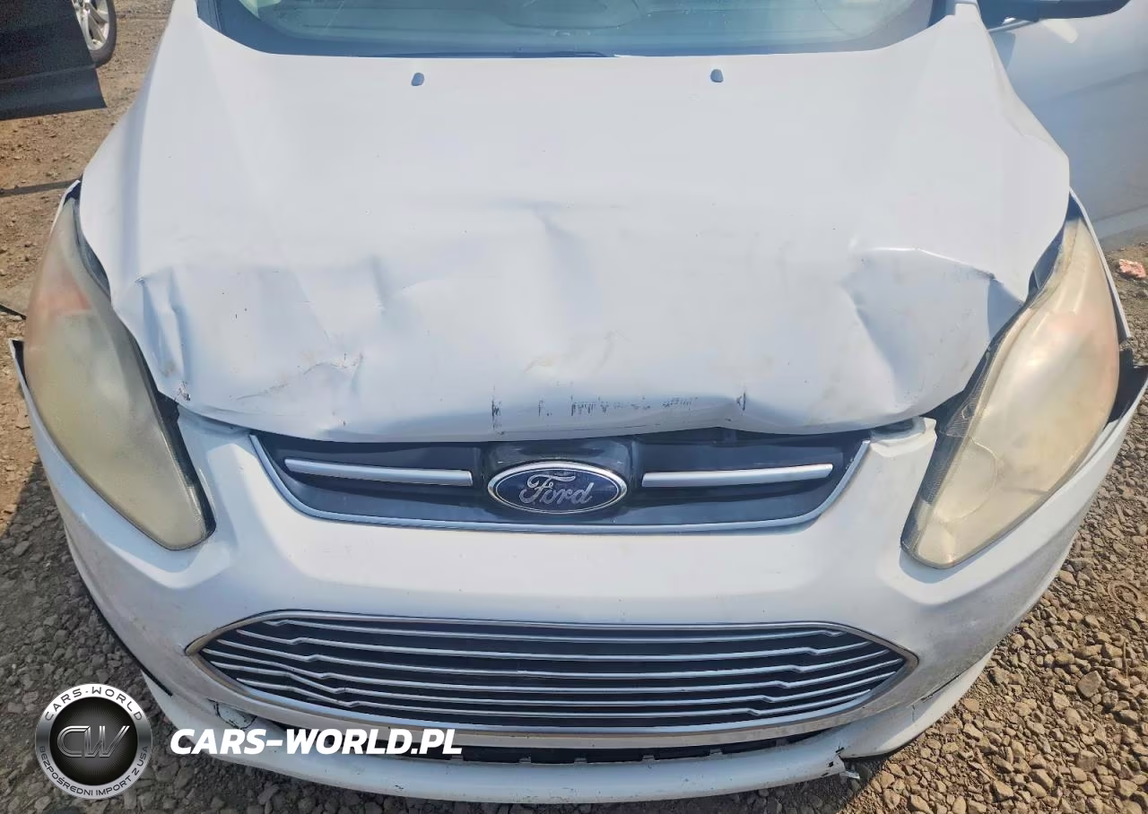 2013 Ford C-Max Sel VIN:1FADP5BU0DL513320 - 11