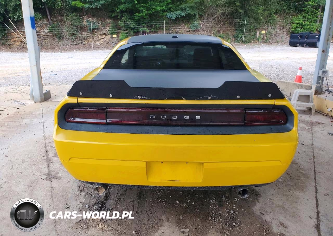 2010 Dodge Challenger R-T VIN:2B3CJ5DT1AH157028 - 6