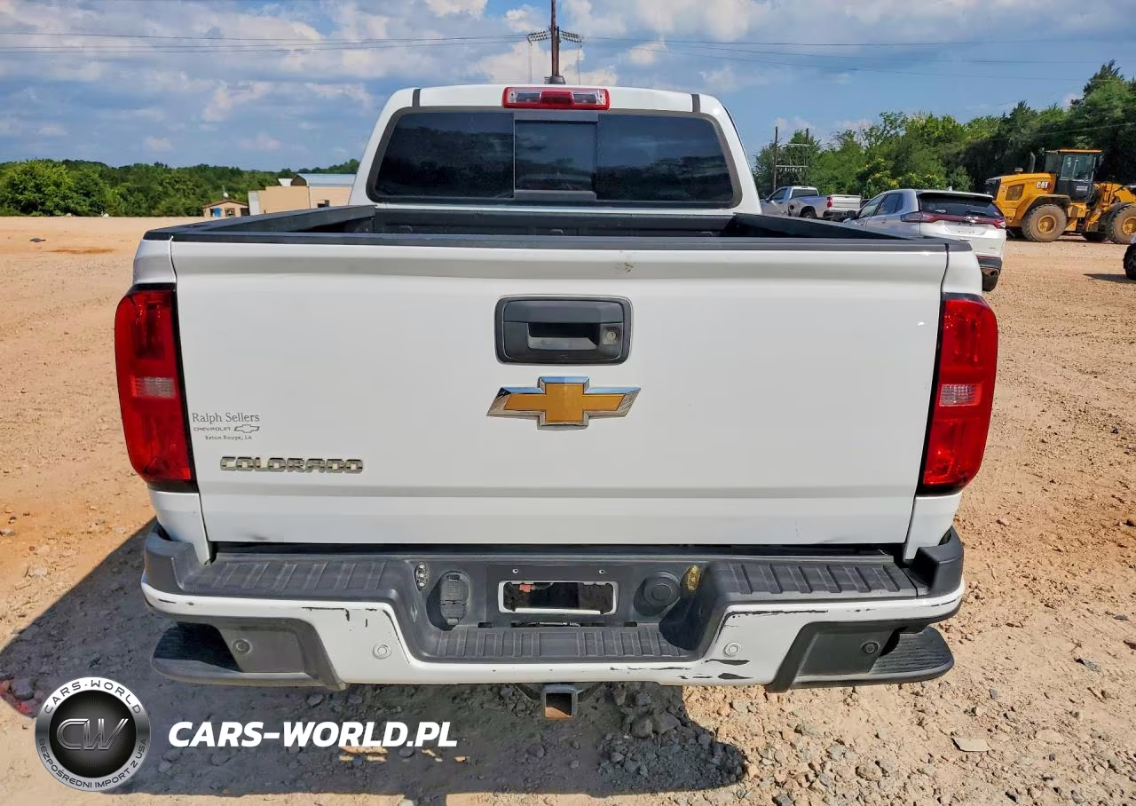 2019 Chevrolet Colorado Z71 VIN:1GCPTDE18K1173874 - 6