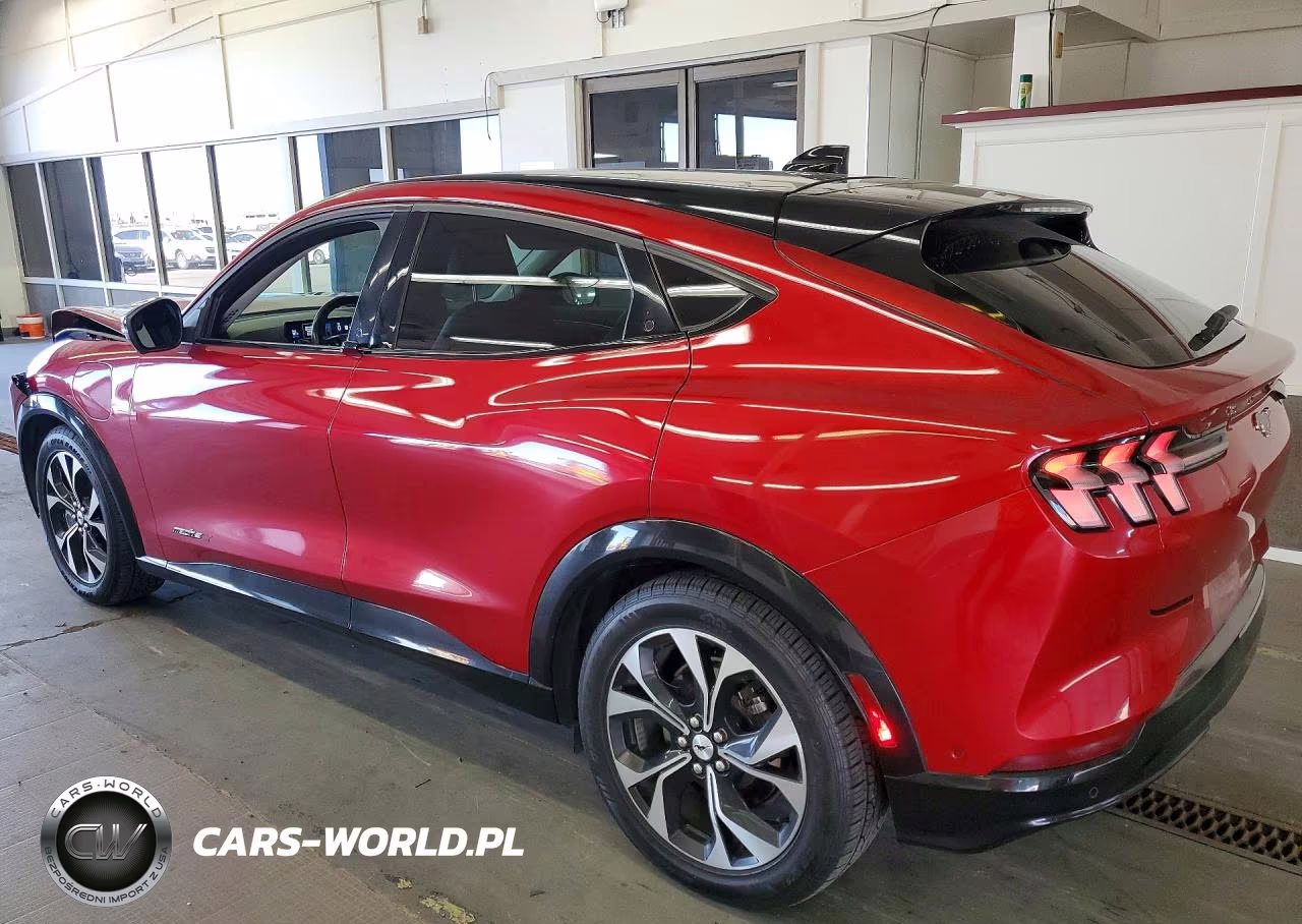 2021 Ford Mustang Mach-E Premium VIN:3FMTK3R75MMA03385 - 2