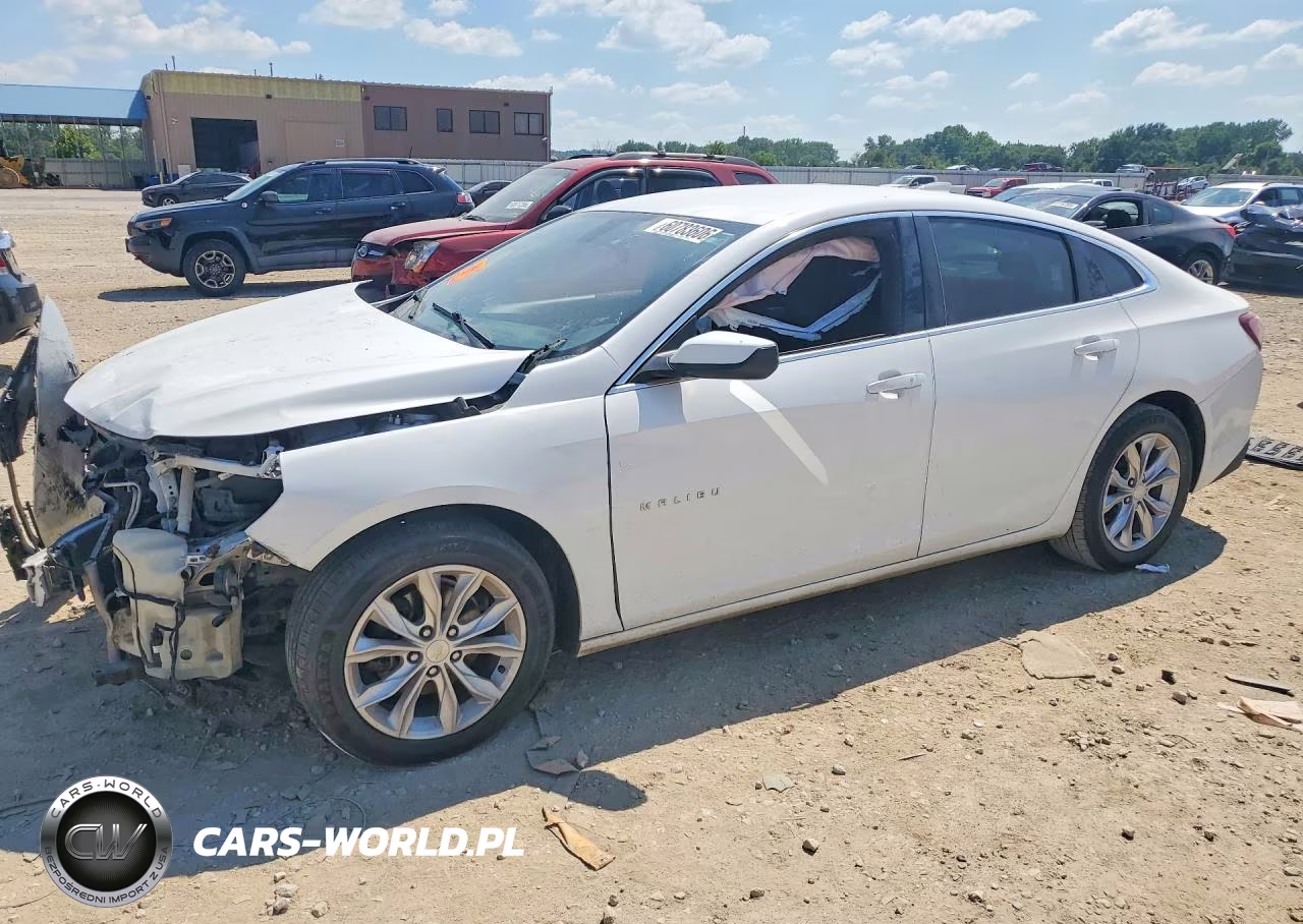 2019 Chevrolet Malibu VIN:1G1ZD5ST1KF143807 - 1