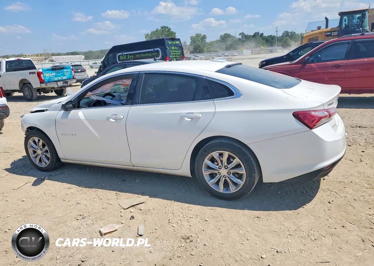 2019 Chevrolet Malibu VIN:1G1ZD5ST1KF143807 - 2