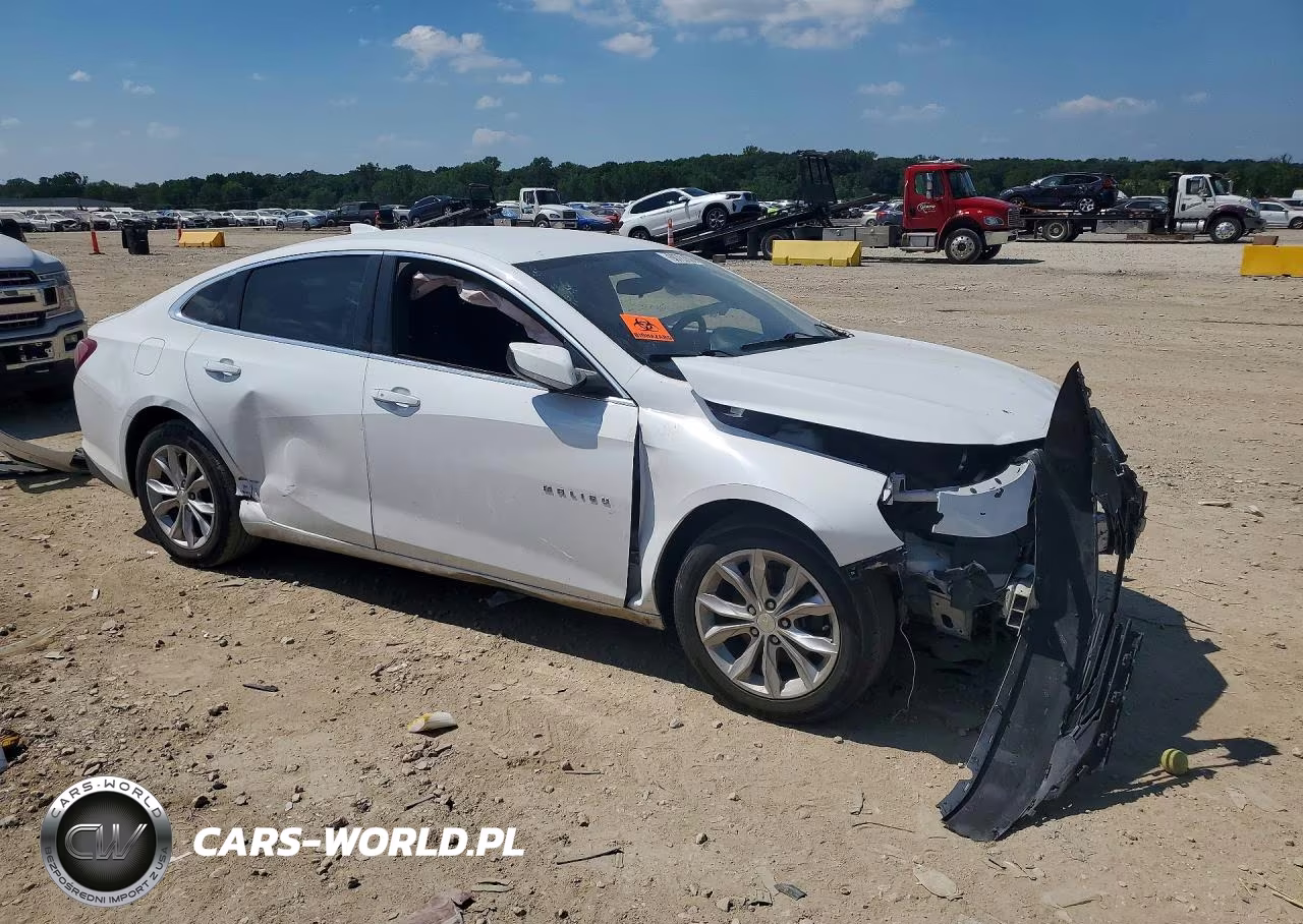 2019 Chevrolet Malibu VIN:1G1ZD5ST1KF143807 - 4