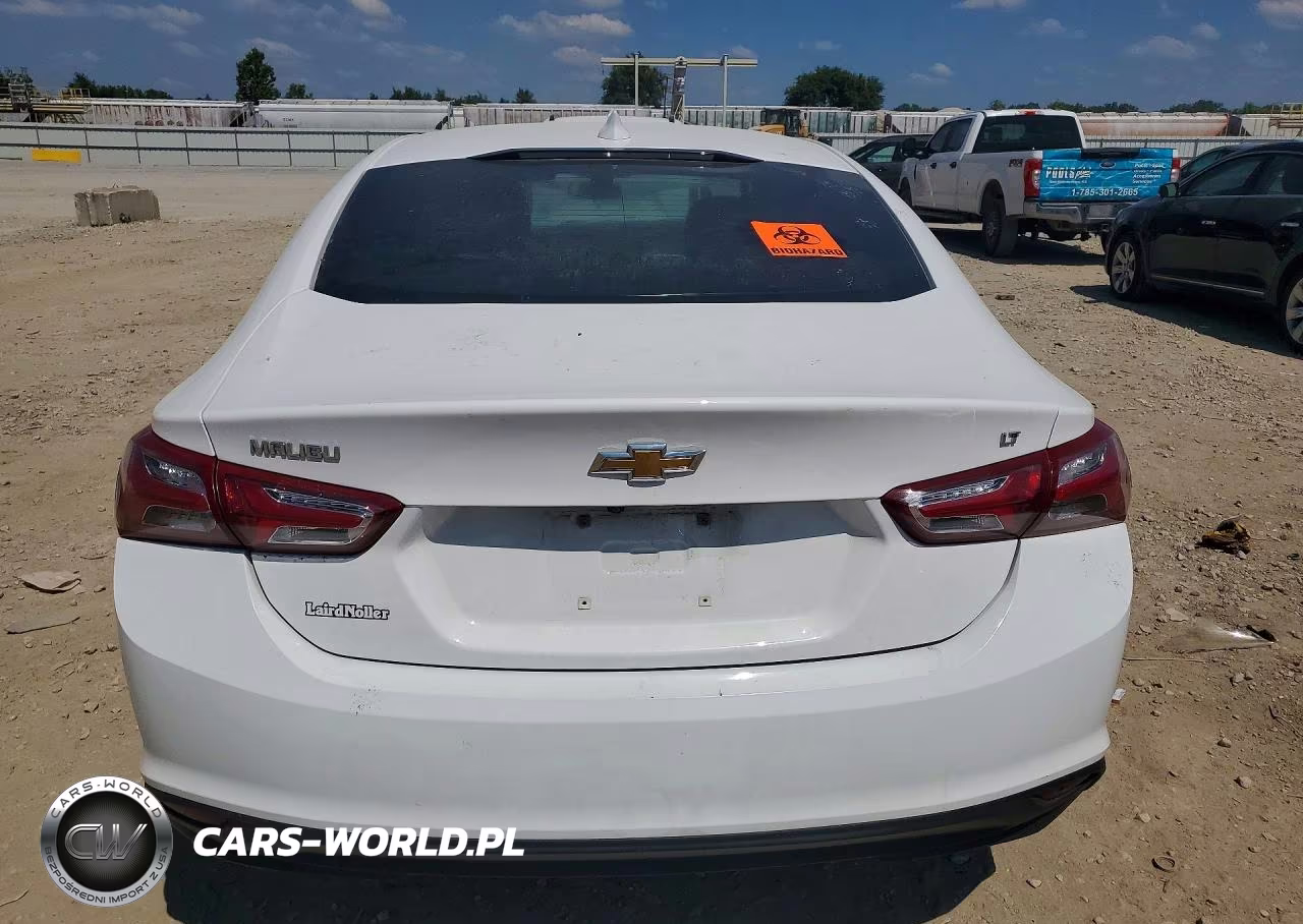 2019 Chevrolet Malibu VIN:1G1ZD5ST1KF143807 - 6