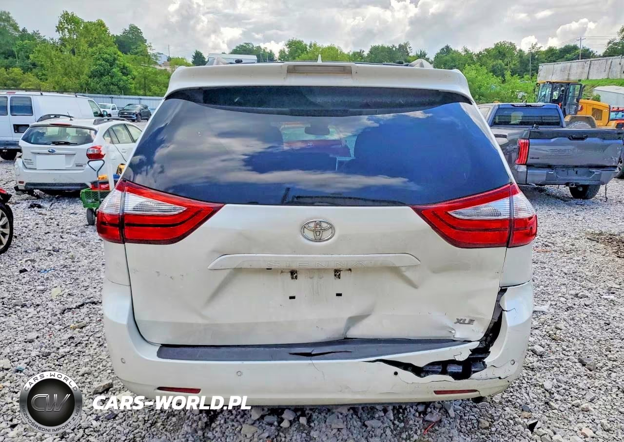 2018 Toyota Sienna Xle 8-Passenger VIN:5TDYZ3DC3JS910058 - 6