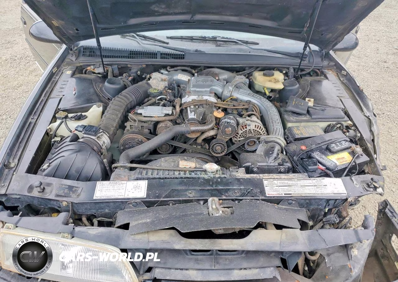 1990 Ford Thunderbird Super Coupe VIN:1FAPP64RXLH152661 - 11