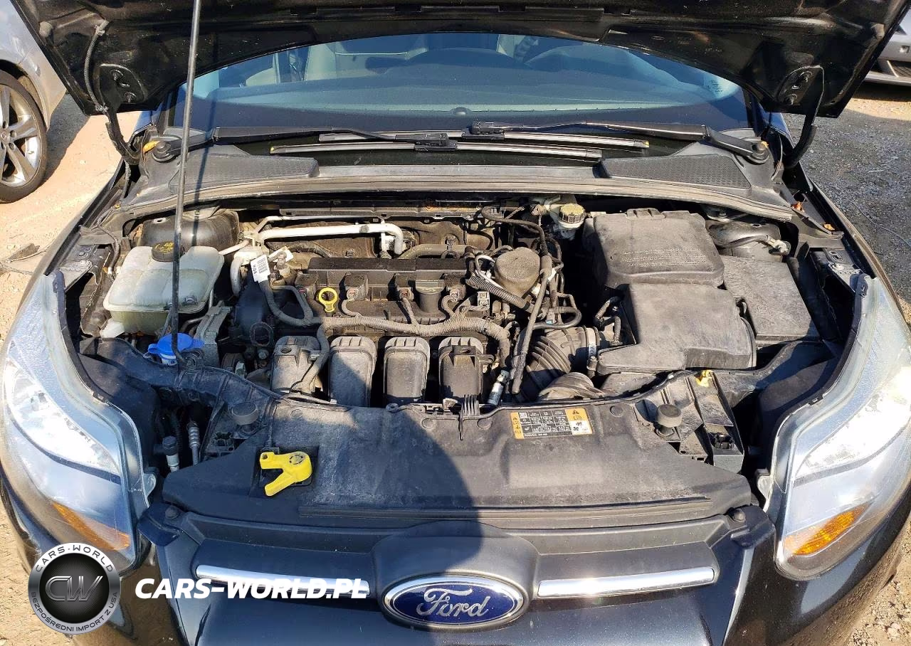 2014 Ford Focus Se VIN:1FADP3K29EL284964 - 11