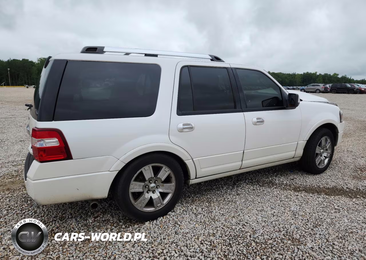 2010 Ford Expedition Limited VIN:1FMJU2A57AEA54278 - 3
