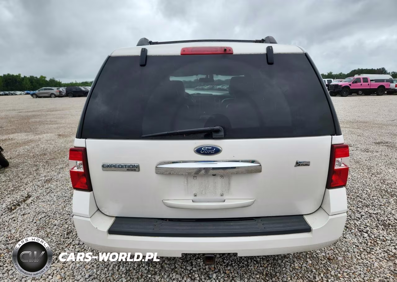 2010 Ford Expedition Limited VIN:1FMJU2A57AEA54278 - 6