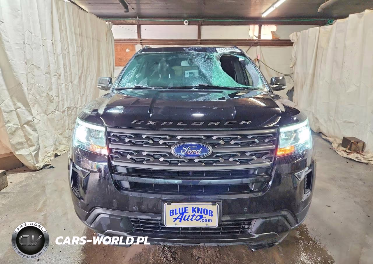 2019 Ford Explorer Xlt VIN:1FM5K8DH3KGB18824 - 5