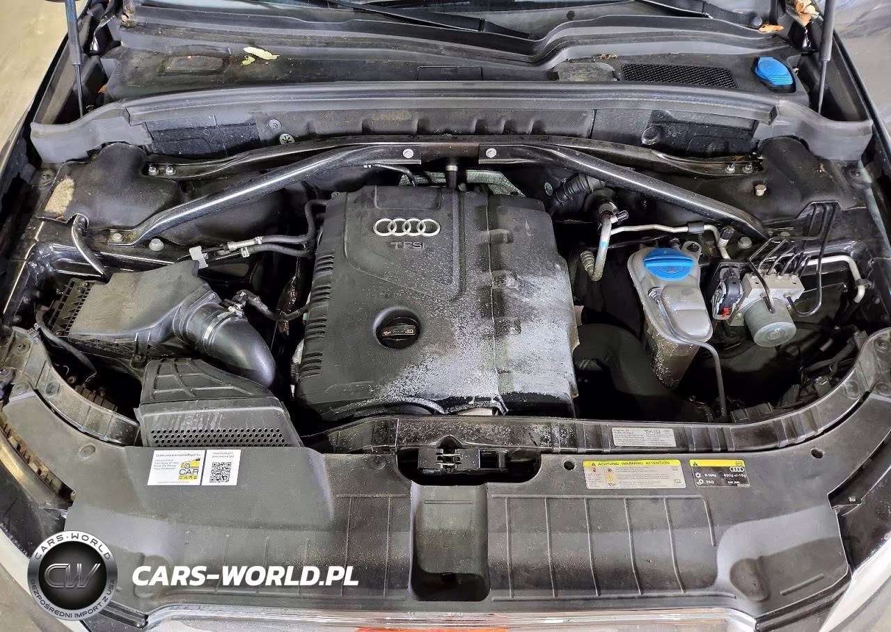 2013 Audi Q5 Premium Plus VIN:WA1LFAFP5DA053499 - 11