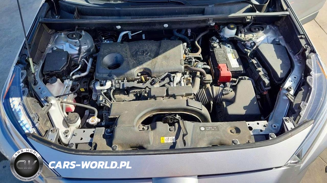 2020 Toyota Rav4 Xle VIN:2T3W1RFV0LC037811 - 11