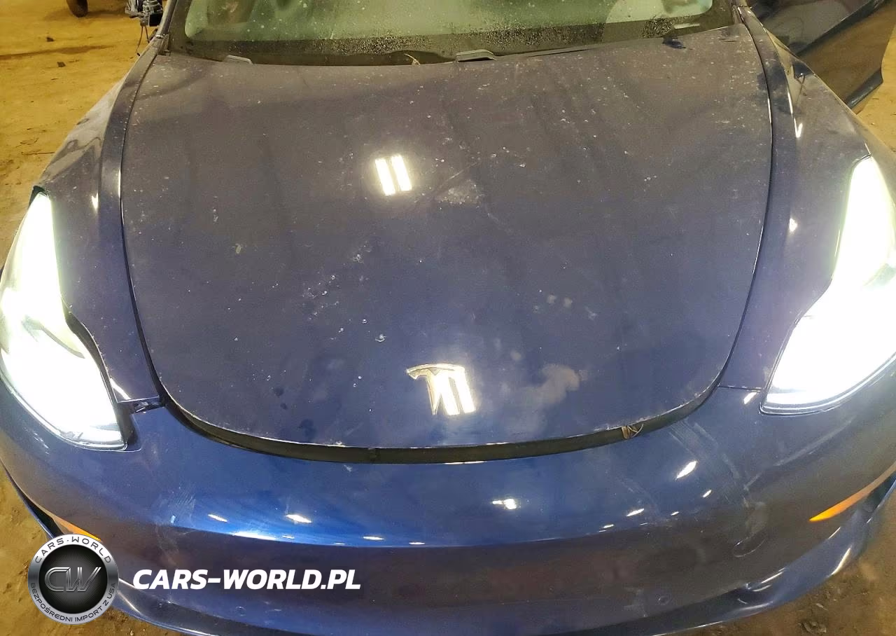 2021 Tesla Model 3 VIN:5YJ3E1EA3MF053546 - 11