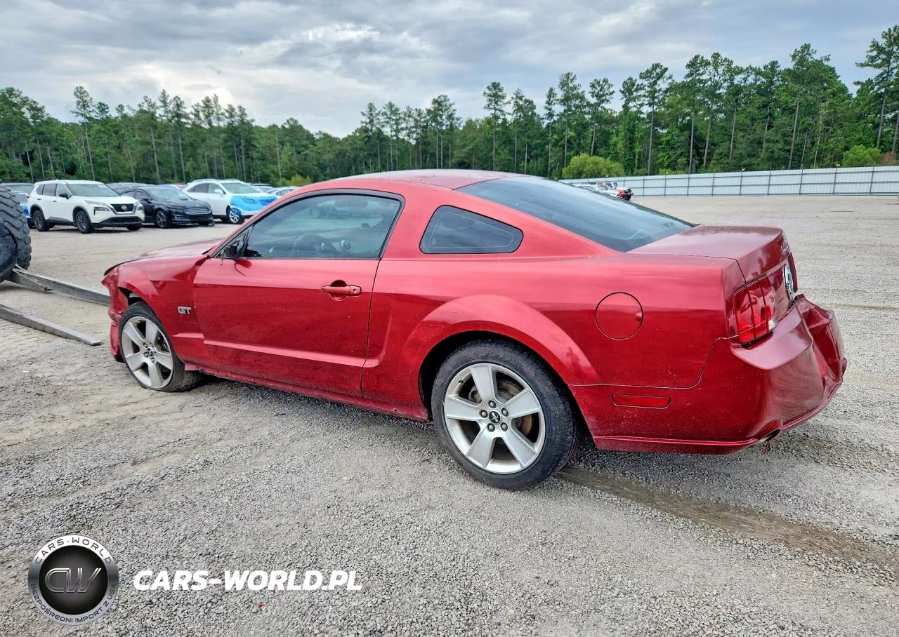 2005 Ford Mustang Gt VIN:1ZVHT82H555119066 - 2