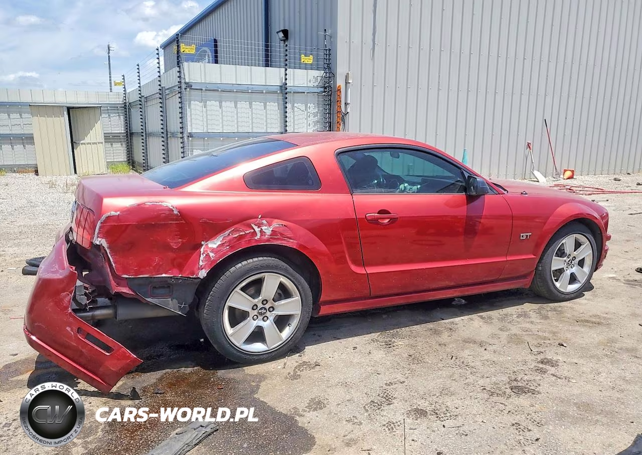 2005 Ford Mustang Gt VIN:1ZVHT82H555119066 - 3
