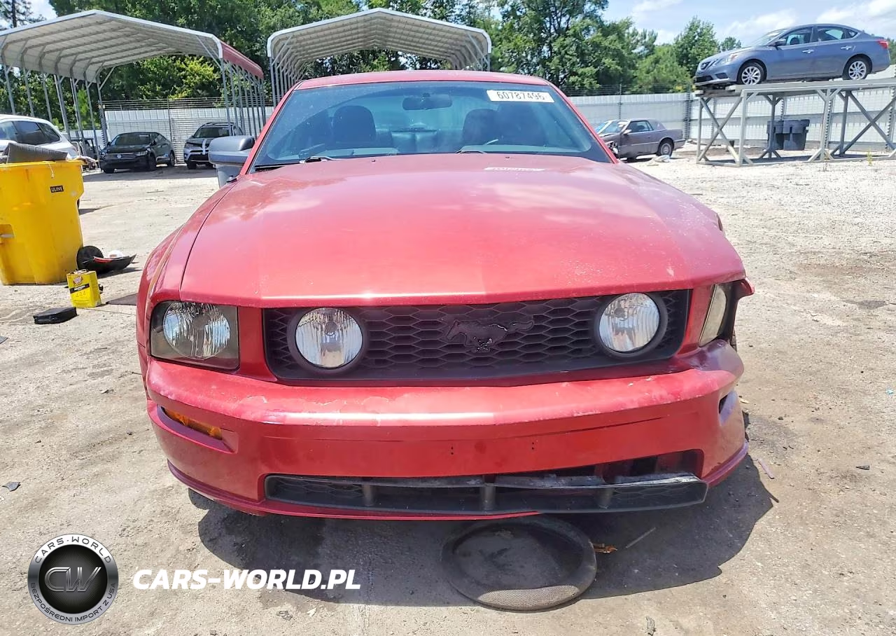 2005 Ford Mustang Gt VIN:1ZVHT82H555119066 - 5