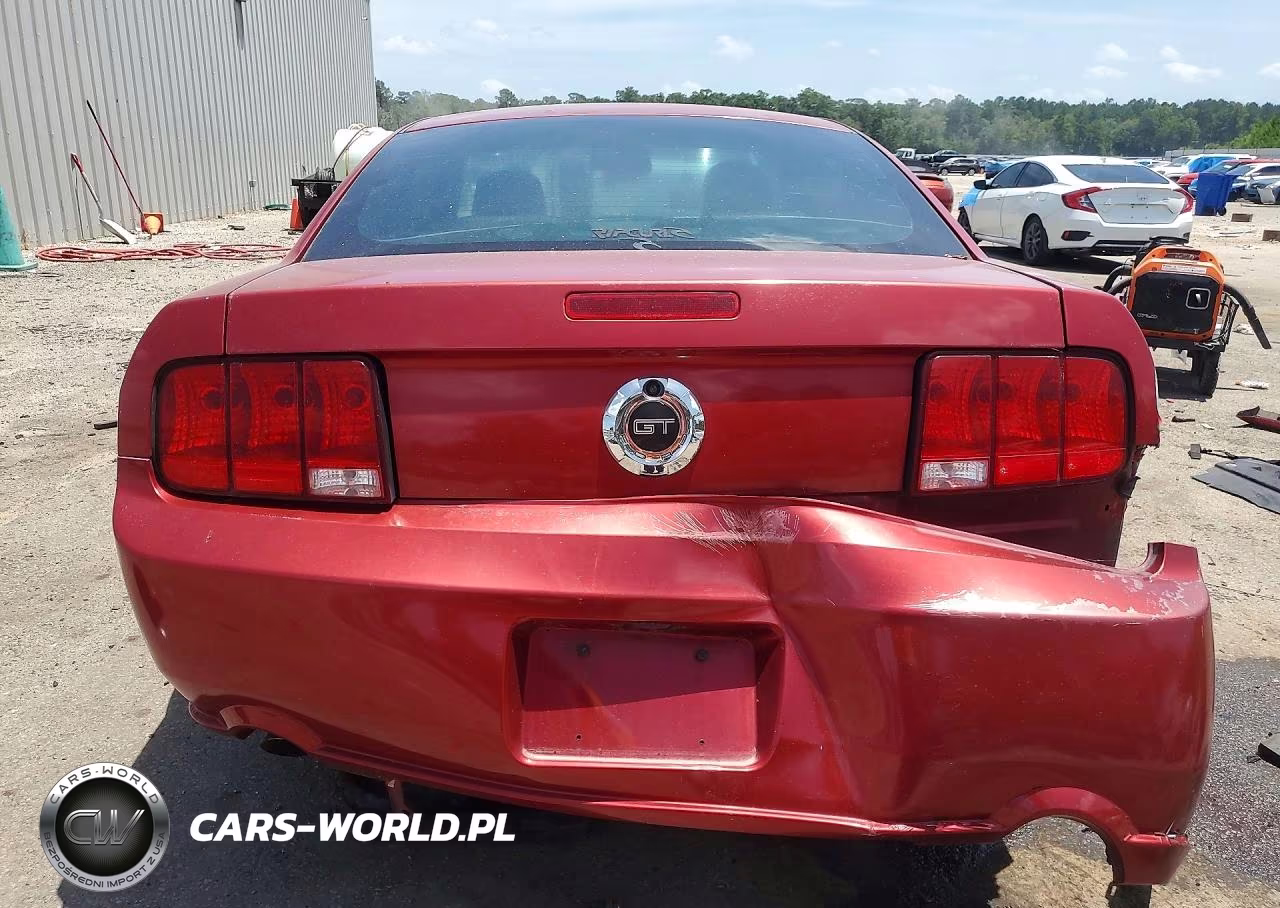 2005 Ford Mustang Gt VIN:1ZVHT82H555119066 - 6