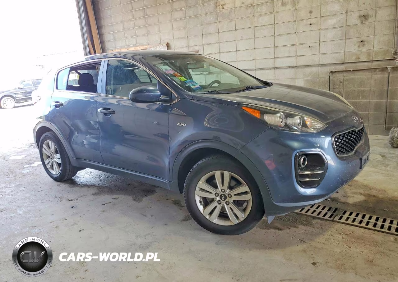 2018 Kia Sportage Lx VIN:KNDPMCAC9J7450879 - 4