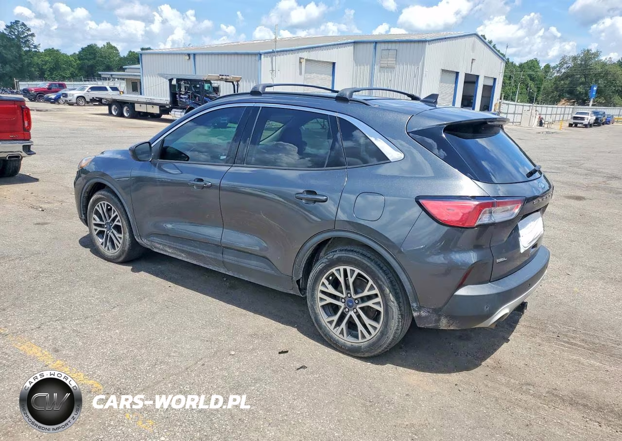 2020 Ford Escape Sel VIN:1FMCU0H62LUB22250 - 2