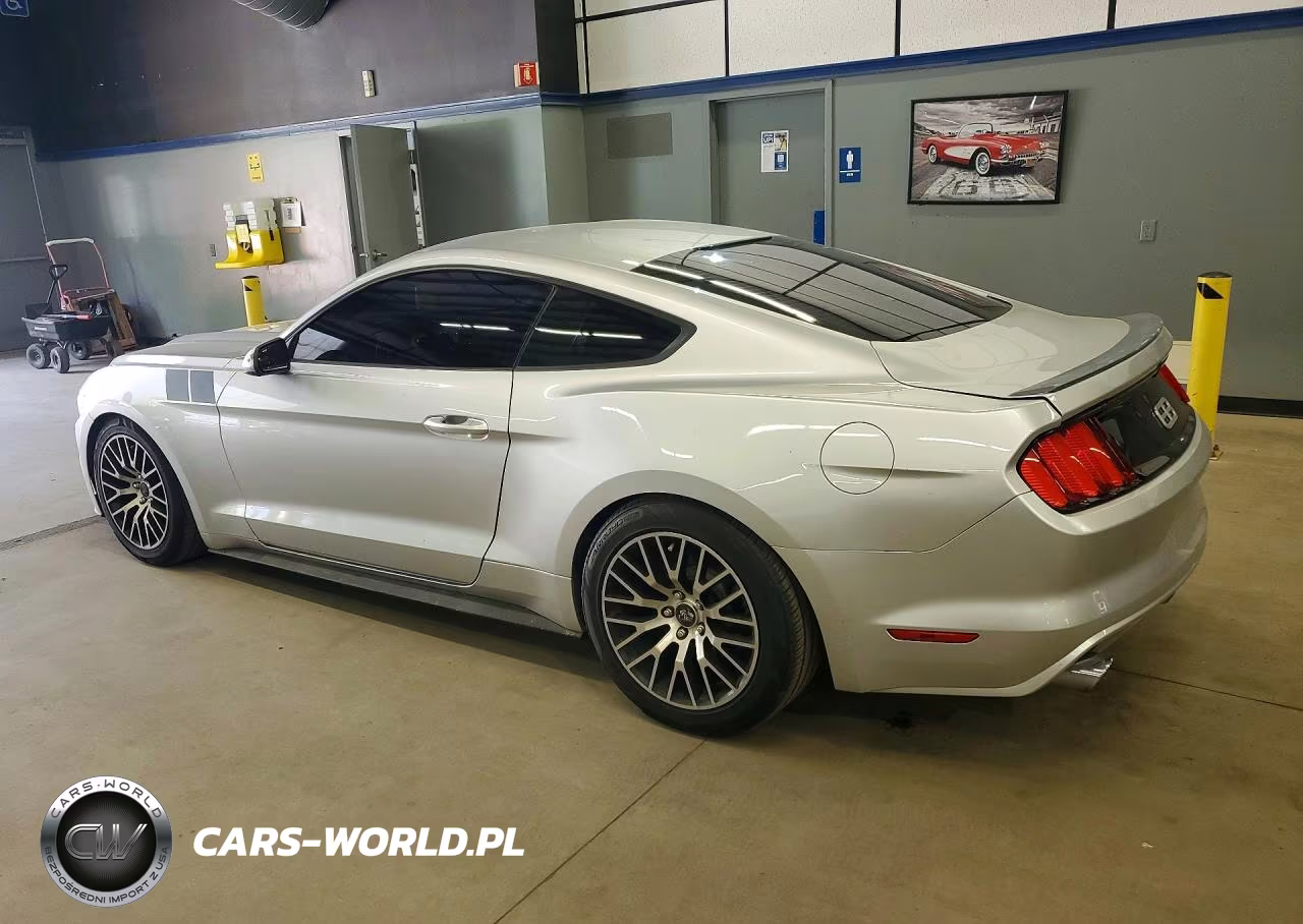 2017 Ford Mustang VIN:1FA6P8TH6H5305352 - 2