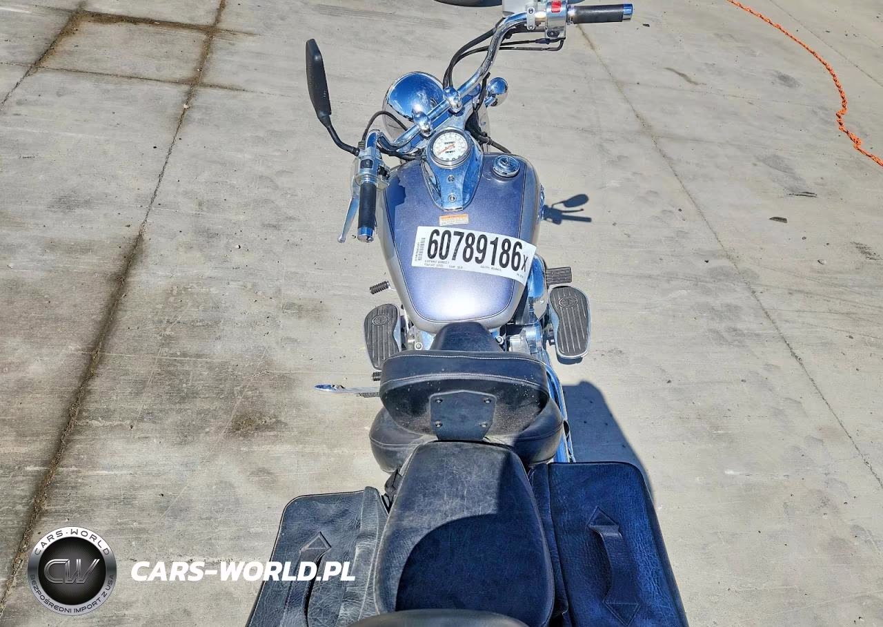 2009 Yamaha Xvs650 A VIN:JYAVM01E09A132120 - 6