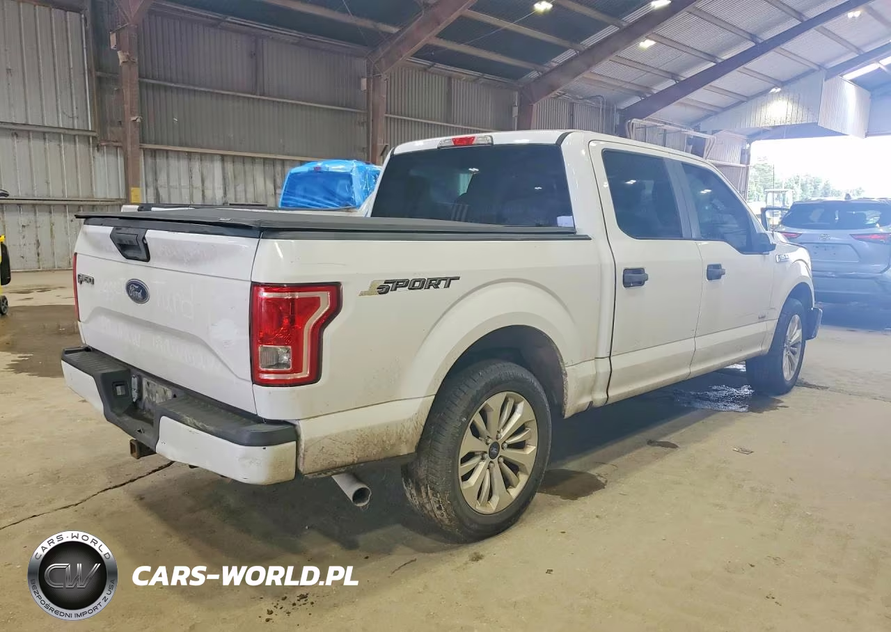 2016 Ford F150 Supercrew VIN:1FTEW1CP5GKE10438 - 3