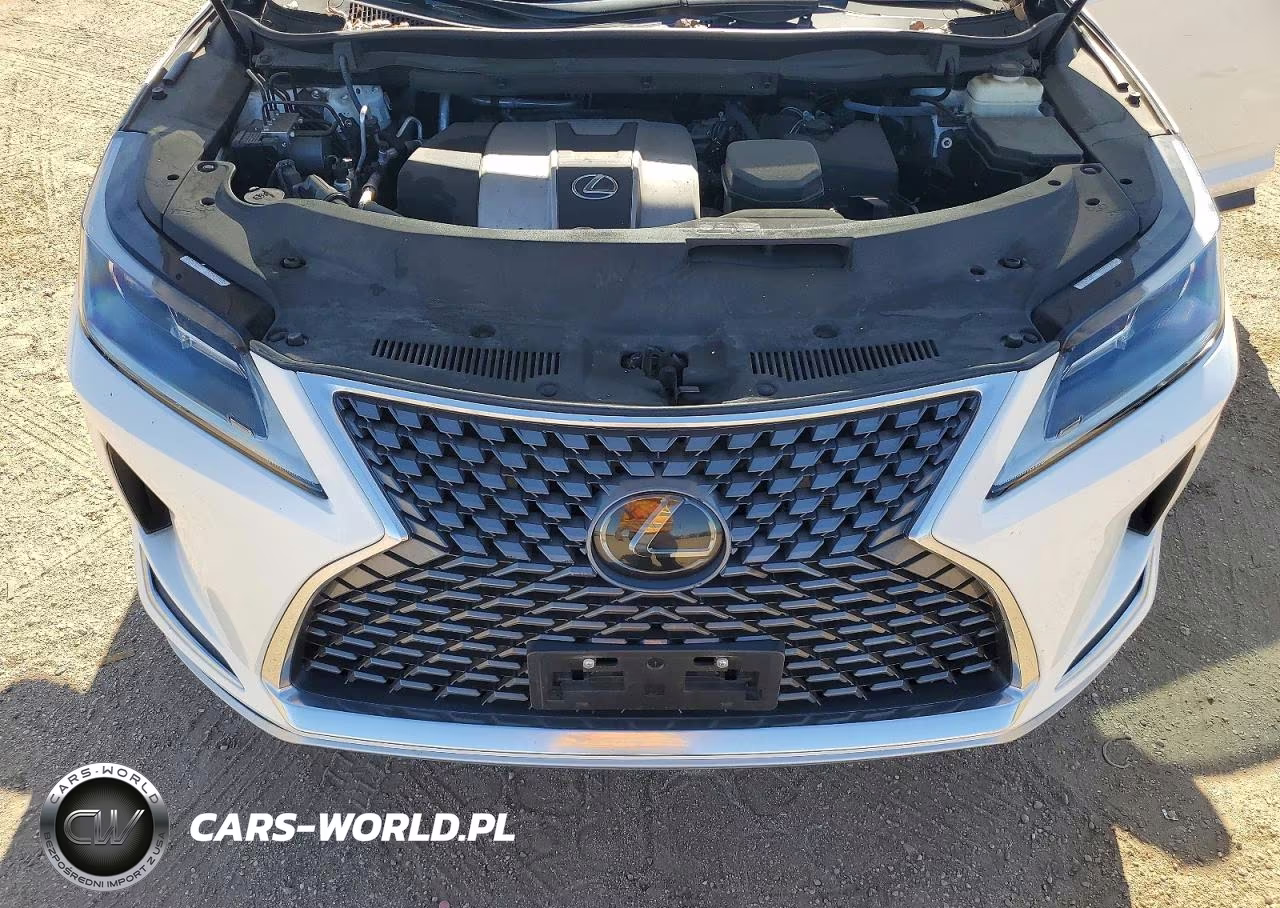 2021 Lexus Rx 350 Base VIN:2T2AZMAA5MC189213 - 11
