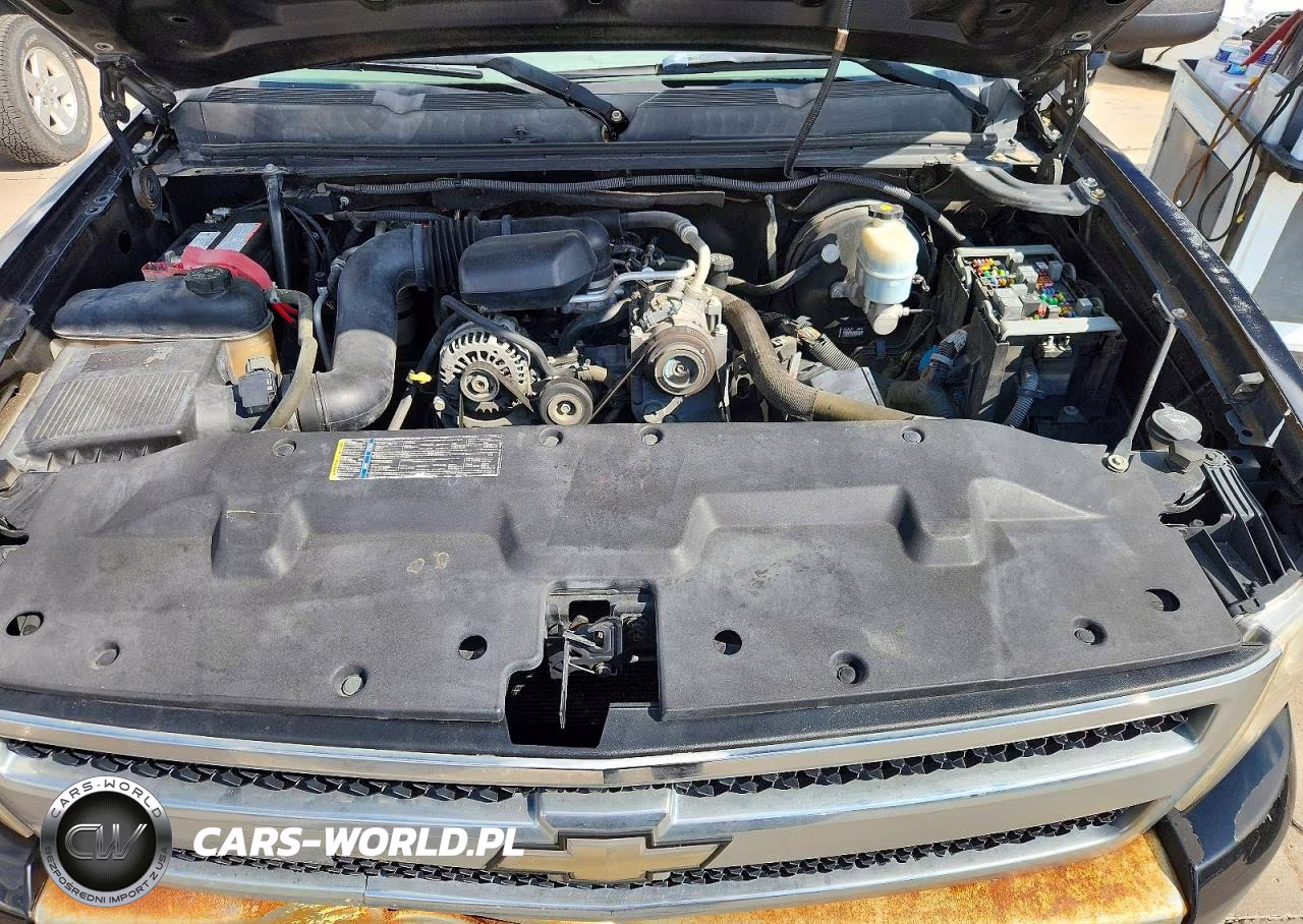 2009 Chevrolet Silverado C1500 VIN:1GCEC14XX9Z221463 - 11
