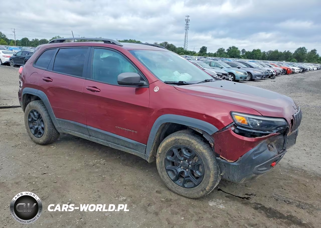 2020 Jeep Cherokee Trailhawk VIN:1C4PJMBX2LD509369 - 4