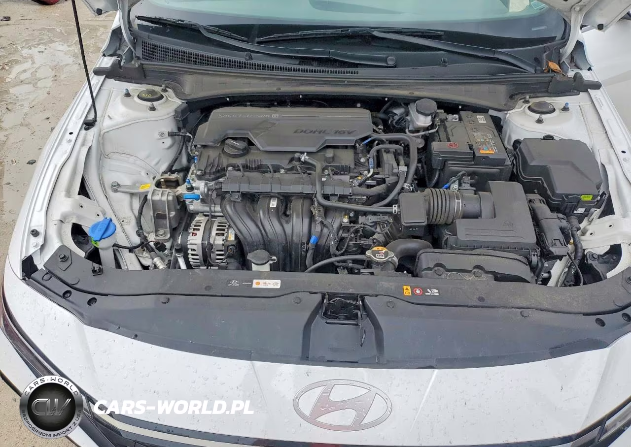 2025 Hyundai Elantra Sel VIN:KMHLS4DG1SU031593 - 11