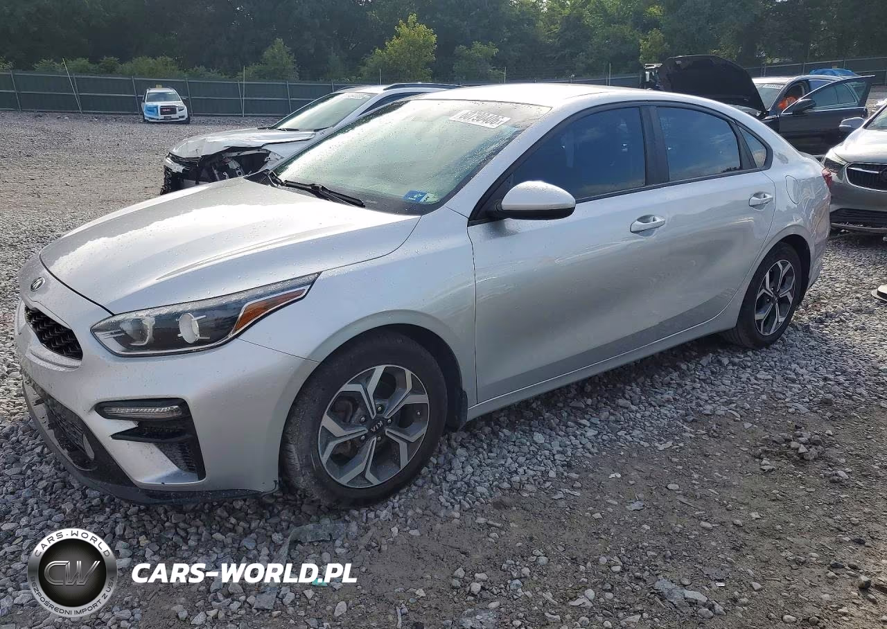 2019 Kia Forte Lxs