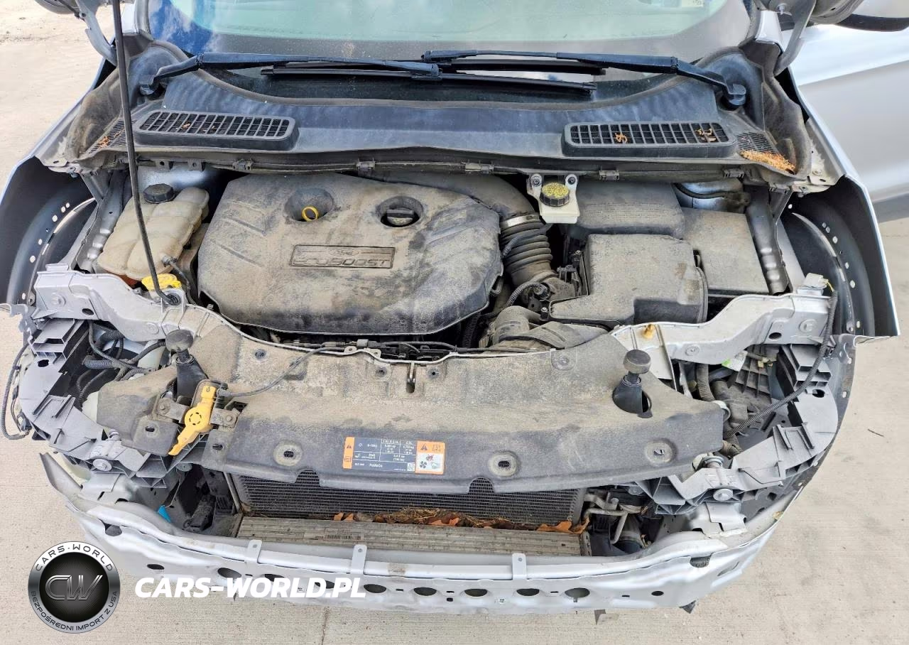 2014 Ford Escape Se VIN:1FMCU0G95EUB71473 - 12