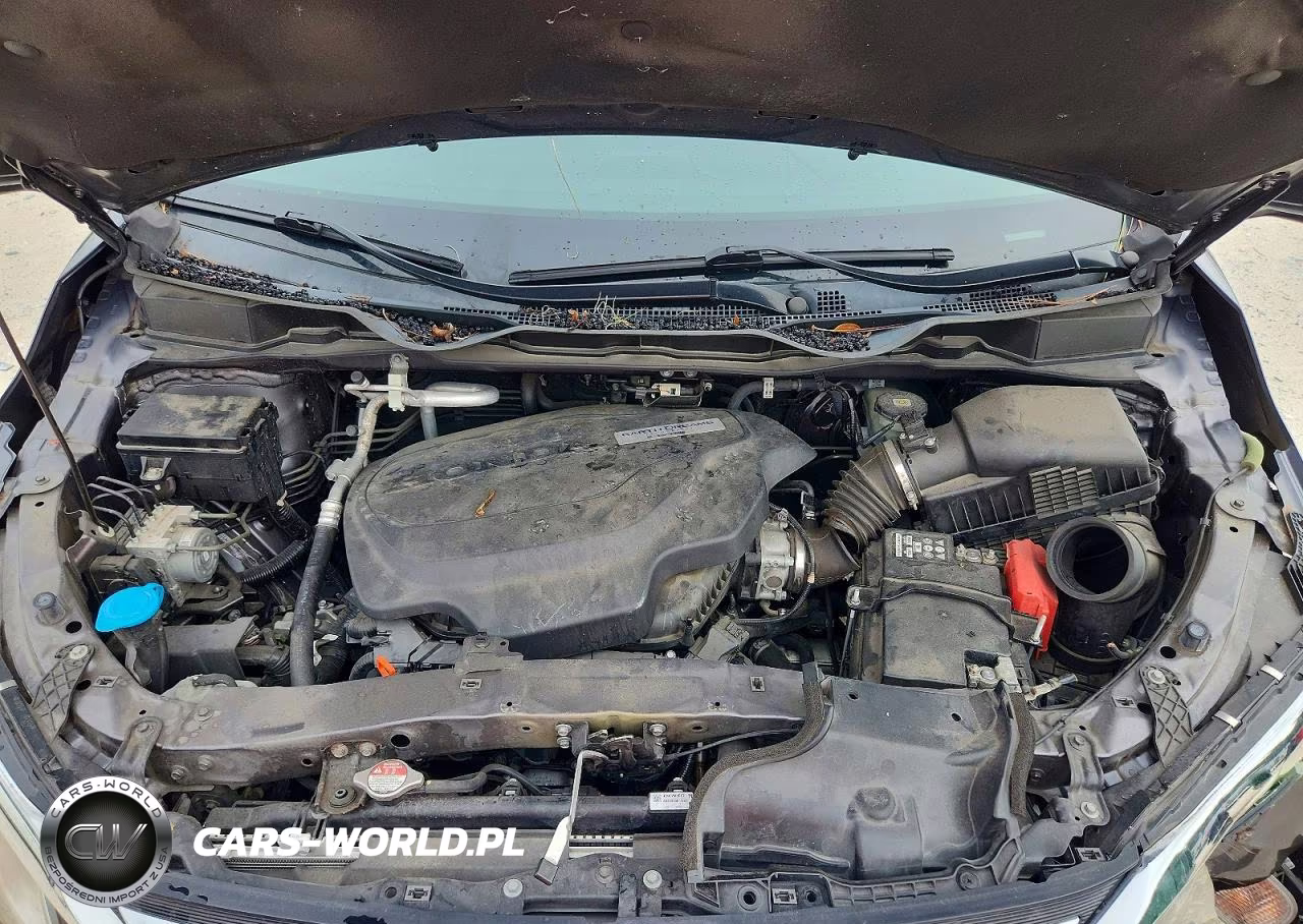 2019 Honda Odyssey Exl VIN:5FNRL6H73KB097749 - 12