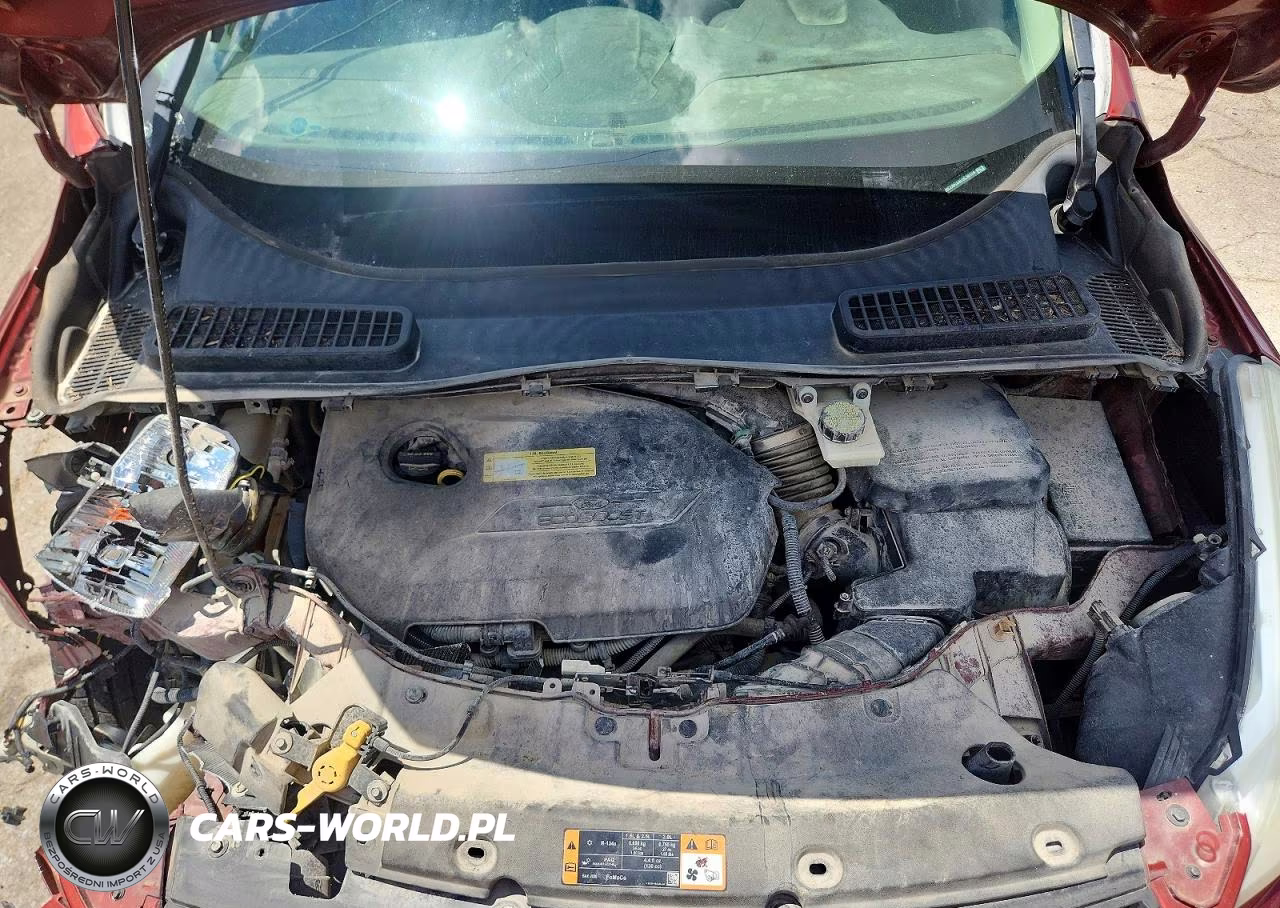 2014 Ford Escape Se VIN:1FMCU0GX4EUC30124 - 12