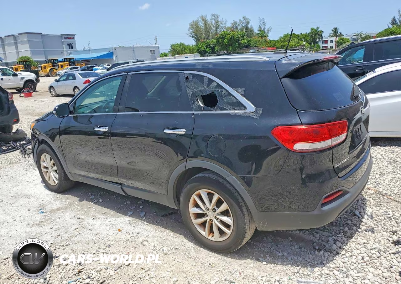 2017 Kia Sorento Lx VIN:5XYPG4A36HG195697 - 2