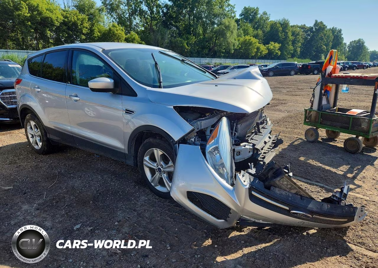 2014 Ford Escape Se VIN:1FMCU0GX3EUB43136 - 4