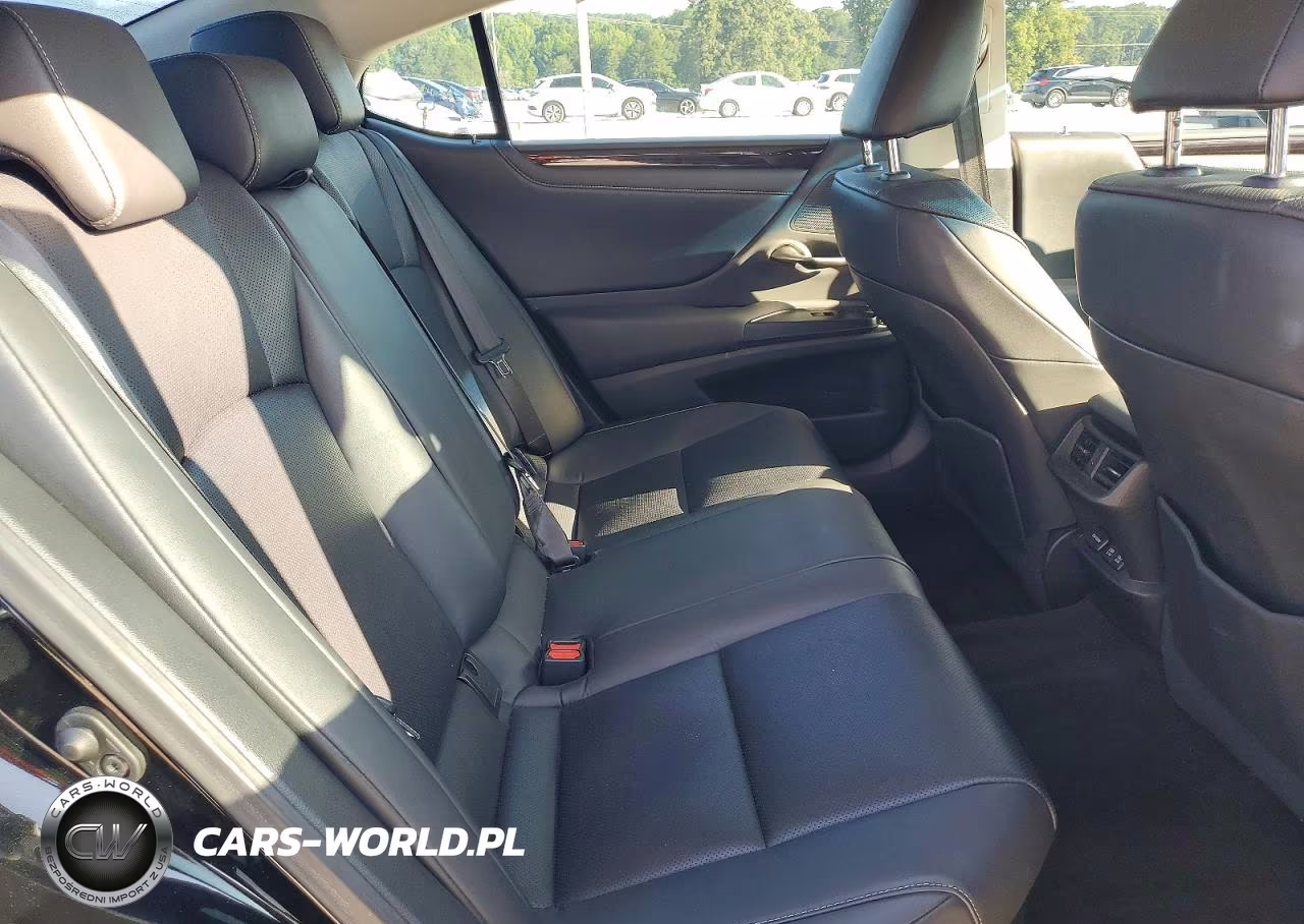 2020 Lexus Es 300H VIN:58AD21B17LU008704 - 10