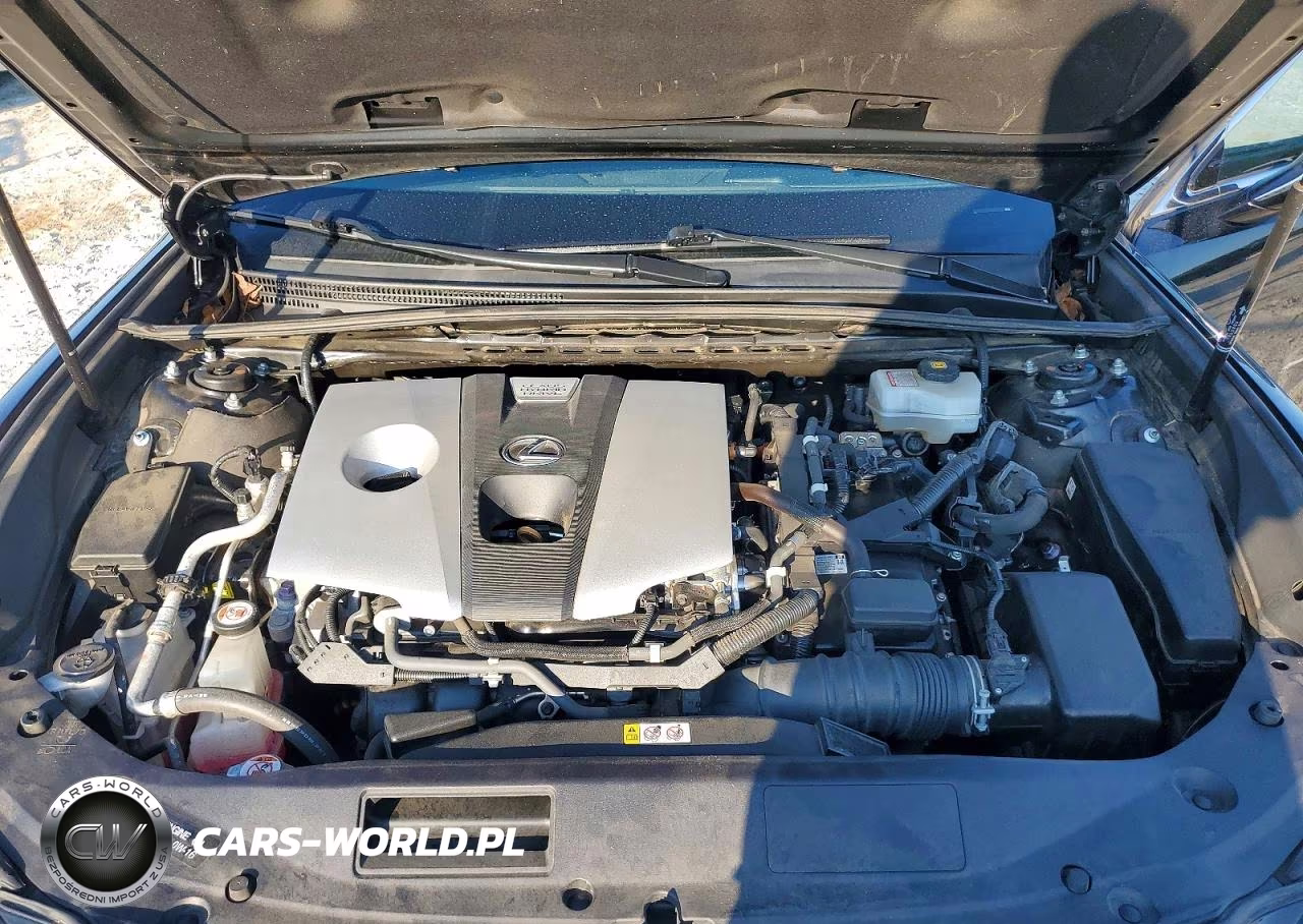 2020 Lexus Es 300H VIN:58AD21B17LU008704 - 11
