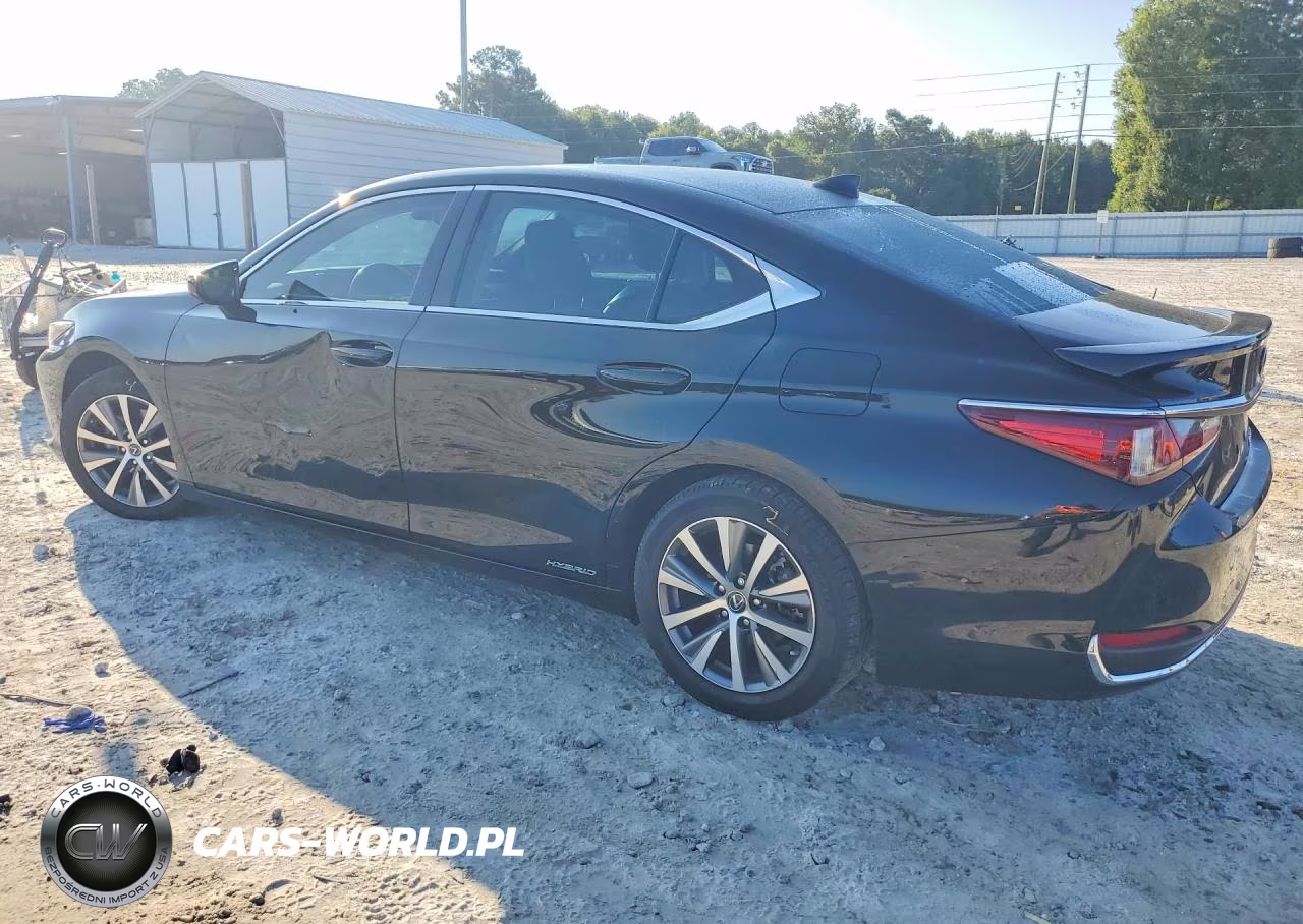 2020 Lexus Es 300H VIN:58AD21B17LU008704 - 2
