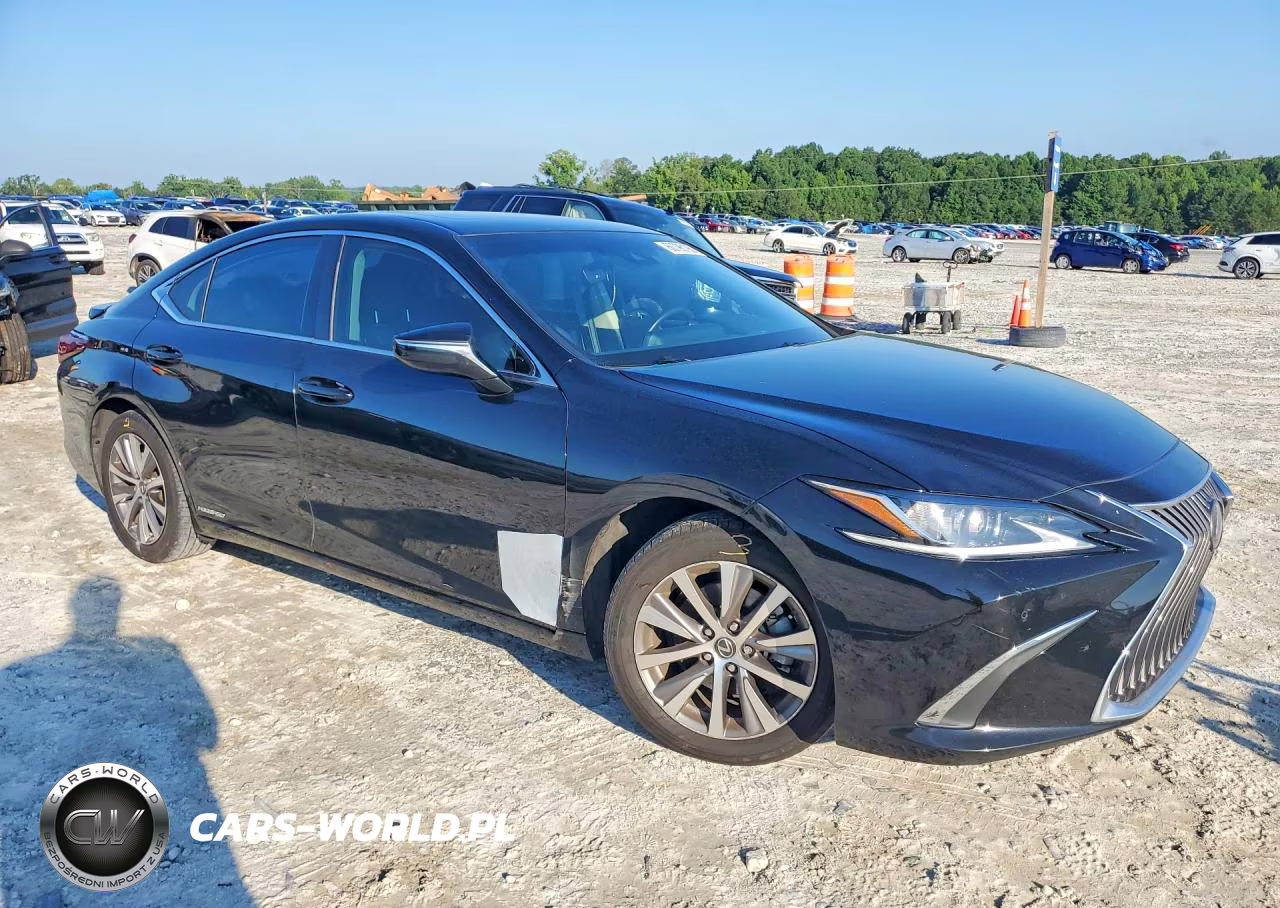 2020 Lexus Es 300H VIN:58AD21B17LU008704 - 4
