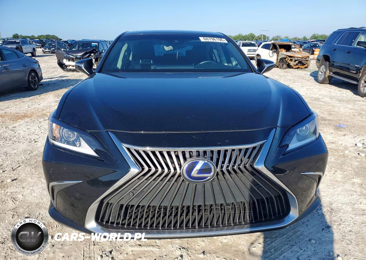 2020 Lexus Es 300H VIN:58AD21B17LU008704 - 5