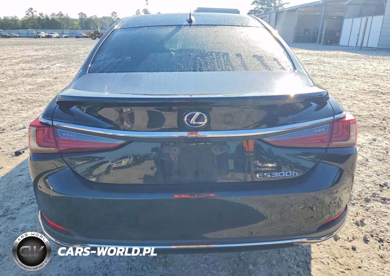 2020 Lexus Es 300H VIN:58AD21B17LU008704 - 6