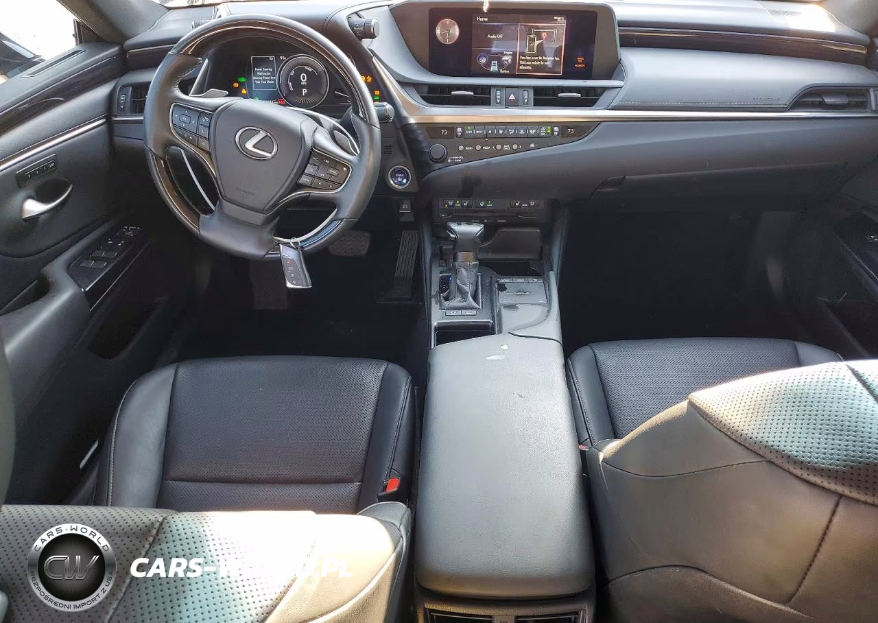 2020 Lexus Es 300H VIN:58AD21B17LU008704 - 8