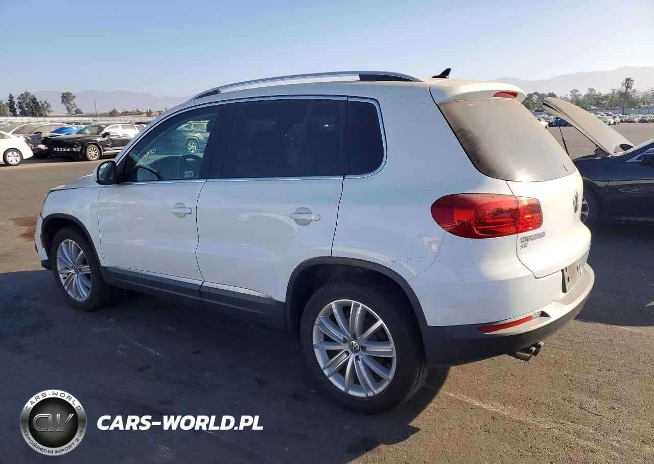 2016 Volkswagen Tiguan S VIN:WVGAV7AX9GW591832 - 2