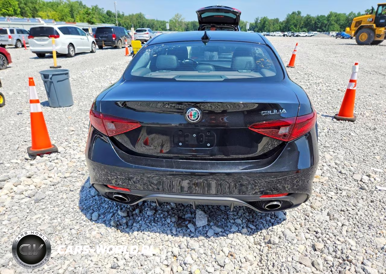 2018 Alfa Romeo Giulia VIN:ZARFAEBN9J7567626 - 6