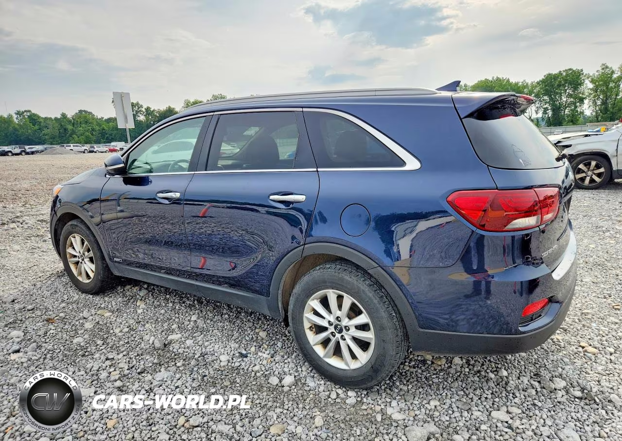 2019 Kia Sorento Lx VIN:5XYPGDA37KG505346 - 2