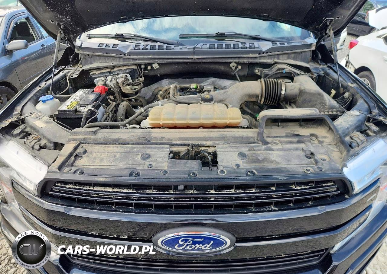 2020 Ford F150 Supercrew VIN:1FTEW1EP0LFB58808 - 11