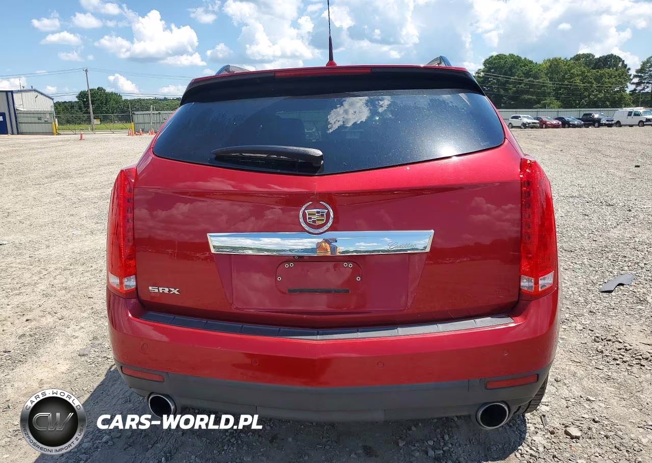 2010 Cadillac Srx Luxury Collection VIN:3GYFNAEY0AS640634 - 6
